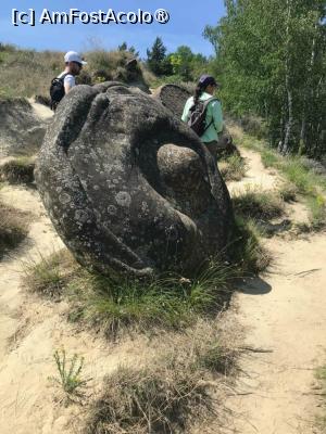 [P08] Trovanti » foto by GloriaS
 - 
<span class="allrVoted glyphicon glyphicon-heart hidden" id="av1483160"></span>
<a class="m-l-10 hidden" id="sv1483160" onclick="voting_Foto_DelVot(,1483160,3566)" role="button">șterge vot <span class="glyphicon glyphicon-remove"></span></a>
<a id="v91483160" class=" c-red"  onclick="voting_Foto_SetVot(1483160)" role="button"><span class="glyphicon glyphicon-heart-empty"></span> <b>LIKE</b> = Votează poza</a> <img class="hidden"  id="f1483160W9" src="/imagini/loader.gif" border="0" /><span class="AjErrMes hidden" id="e1483160ErM"></span>