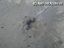 [P17] Langa Buzau, Vulcanii Noroiosi - un crater micut la putin timp dupa eruptie » foto by Diaura*
 - 
<span class="allrVoted glyphicon glyphicon-heart hidden" id="av72467"></span>
<a class="m-l-10 hidden" id="sv72467" onclick="voting_Foto_DelVot(,72467,3566)" role="button">șterge vot <span class="glyphicon glyphicon-remove"></span></a>
<a id="v972467" class=" c-red"  onclick="voting_Foto_SetVot(72467)" role="button"><span class="glyphicon glyphicon-heart-empty"></span> <b>LIKE</b> = Votează poza</a> <img class="hidden"  id="f72467W9" src="/imagini/loader.gif" border="0" /><span class="AjErrMes hidden" id="e72467ErM"></span>