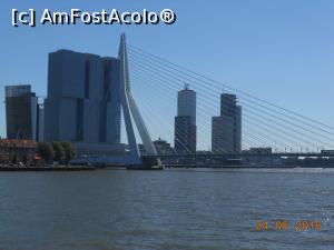 [P20] Rotterdam - Erasmusbrug, cel mai renumit pod din Rotterdam și clădirile nonconformiste de pe malul stâng al râului Nieuwe Maas.  » foto by iulianic
 - 
<span class="allrVoted glyphicon glyphicon-heart hidden" id="av891905"></span>
<a class="m-l-10 hidden" id="sv891905" onclick="voting_Foto_DelVot(,891905,3679)" role="button">șterge vot <span class="glyphicon glyphicon-remove"></span></a>
<a id="v9891905" class=" c-red"  onclick="voting_Foto_SetVot(891905)" role="button"><span class="glyphicon glyphicon-heart-empty"></span> <b>LIKE</b> = Votează poza</a> <img class="hidden"  id="f891905W9" src="/imagini/loader.gif" border="0" /><span class="AjErrMes hidden" id="e891905ErM"></span>