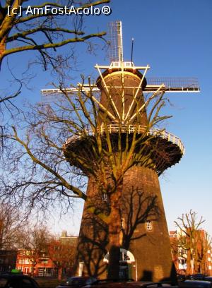 [P02] Molen De Walvisch este locul unde am cumparat cel mai greu suvenir (1kg de faina)  » foto by Radu Tudoran
 - 
<span class="allrVoted glyphicon glyphicon-heart hidden" id="av727789"></span>
<a class="m-l-10 hidden" id="sv727789" onclick="voting_Foto_DelVot(,727789,3679)" role="button">șterge vot <span class="glyphicon glyphicon-remove"></span></a>
<a id="v9727789" class=" c-red"  onclick="voting_Foto_SetVot(727789)" role="button"><span class="glyphicon glyphicon-heart-empty"></span> <b>LIKE</b> = Votează poza</a> <img class="hidden"  id="f727789W9" src="/imagini/loader.gif" border="0" /><span class="AjErrMes hidden" id="e727789ErM"></span>