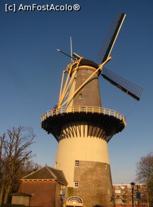 [P26] Molen De Drie Koornbloemen, cea mai veche moara existenta in Schiedam » foto by Radu Tudoran
 - 
<span class="allrVoted glyphicon glyphicon-heart hidden" id="av727813"></span>
<a class="m-l-10 hidden" id="sv727813" onclick="voting_Foto_DelVot(,727813,3679)" role="button">șterge vot <span class="glyphicon glyphicon-remove"></span></a>
<a id="v9727813" class=" c-red"  onclick="voting_Foto_SetVot(727813)" role="button"><span class="glyphicon glyphicon-heart-empty"></span> <b>LIKE</b> = Votează poza</a> <img class="hidden"  id="f727813W9" src="/imagini/loader.gif" border="0" /><span class="AjErrMes hidden" id="e727813ErM"></span>