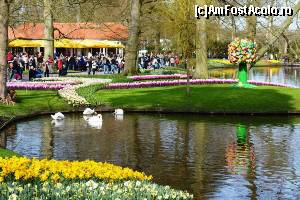 [P10] Keukenhof - » foto by makuy*
 - 
<span class="allrVoted glyphicon glyphicon-heart hidden" id="av614964"></span>
<a class="m-l-10 hidden" id="sv614964" onclick="voting_Foto_DelVot(,614964,3710)" role="button">șterge vot <span class="glyphicon glyphicon-remove"></span></a>
<a id="v9614964" class=" c-red"  onclick="voting_Foto_SetVot(614964)" role="button"><span class="glyphicon glyphicon-heart-empty"></span> <b>LIKE</b> = Votează poza</a> <img class="hidden"  id="f614964W9" src="/imagini/loader.gif" border="0" /><span class="AjErrMes hidden" id="e614964ErM"></span>