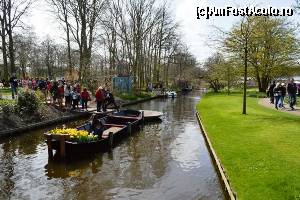 [P16] Keukenhof - coada pentru o poză pe canal » foto by makuy*
 - 
<span class="allrVoted glyphicon glyphicon-heart hidden" id="av614970"></span>
<a class="m-l-10 hidden" id="sv614970" onclick="voting_Foto_DelVot(,614970,3710)" role="button">șterge vot <span class="glyphicon glyphicon-remove"></span></a>
<a id="v9614970" class=" c-red"  onclick="voting_Foto_SetVot(614970)" role="button"><span class="glyphicon glyphicon-heart-empty"></span> <b>LIKE</b> = Votează poza</a> <img class="hidden"  id="f614970W9" src="/imagini/loader.gif" border="0" /><span class="AjErrMes hidden" id="e614970ErM"></span>