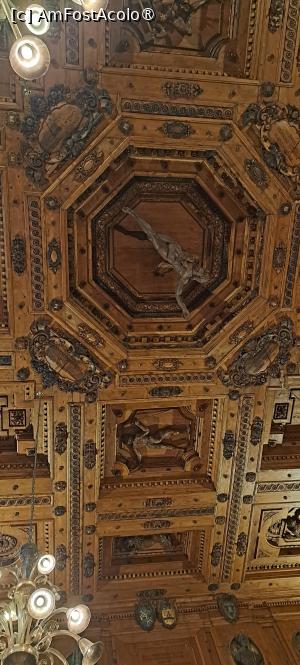 [P64] Tavanul casetat este cel original având central figura lui Apollo, zeul medicinei, înconjurat de imagini simbolice ale constelațiilor sculptate în lemn » foto by irinad
 - 
<span class="allrVoted glyphicon glyphicon-heart hidden" id="av1521440"></span>
<a class="m-l-10 hidden" id="sv1521440" onclick="voting_Foto_DelVot(,1521440,3721)" role="button">șterge vot <span class="glyphicon glyphicon-remove"></span></a>
<a id="v91521440" class=" c-red"  onclick="voting_Foto_SetVot(1521440)" role="button"><span class="glyphicon glyphicon-heart-empty"></span> <b>LIKE</b> = Votează poza</a> <img class="hidden"  id="f1521440W9" src="/imagini/loader.gif" border="0" /><span class="AjErrMes hidden" id="e1521440ErM"></span>