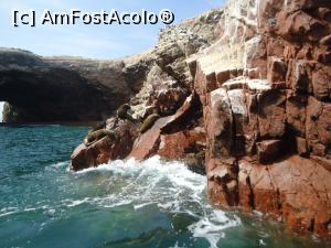P03 [OCT-2016] lei de mare in Islas Ballestas