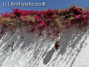 [P22] Arequipa » foto by adso
 - 
<span class="allrVoted glyphicon glyphicon-heart hidden" id="av1540549"></span>
<a class="m-l-10 hidden" id="sv1540549" onclick="voting_Foto_DelVot(,1540549,3739)" role="button">șterge vot <span class="glyphicon glyphicon-remove"></span></a>
<a id="v91540549" class=" c-red"  onclick="voting_Foto_SetVot(1540549)" role="button"><span class="glyphicon glyphicon-heart-empty"></span> <b>LIKE</b> = Votează poza</a> <img class="hidden"  id="f1540549W9" src="/imagini/loader.gif" border="0" /><span class="AjErrMes hidden" id="e1540549ErM"></span>