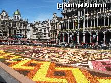 [P20] Covorul de Flori (Floral Carpet) -Grand Place-Bruxelles-17.08.2012 » foto by Ricone
 - 
<span class="allrVoted glyphicon glyphicon-heart hidden" id="av363543"></span>
<a class="m-l-10 hidden" id="sv363543" onclick="voting_Foto_DelVot(,363543,3768)" role="button">șterge vot <span class="glyphicon glyphicon-remove"></span></a>
<a id="v9363543" class=" c-red"  onclick="voting_Foto_SetVot(363543)" role="button"><span class="glyphicon glyphicon-heart-empty"></span> <b>LIKE</b> = Votează poza</a> <img class="hidden"  id="f363543W9" src="/imagini/loader.gif" border="0" /><span class="AjErrMes hidden" id="e363543ErM"></span>