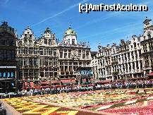 [P21] Covorul cu Flori din Grand Place si Maison des Boulangers-Bruxelles » foto by Ricone
 - 
<span class="allrVoted glyphicon glyphicon-heart hidden" id="av363544"></span>
<a class="m-l-10 hidden" id="sv363544" onclick="voting_Foto_DelVot(,363544,3768)" role="button">șterge vot <span class="glyphicon glyphicon-remove"></span></a>
<a id="v9363544" class=" c-red"  onclick="voting_Foto_SetVot(363544)" role="button"><span class="glyphicon glyphicon-heart-empty"></span> <b>LIKE</b> = Votează poza</a> <img class="hidden"  id="f363544W9" src="/imagini/loader.gif" border="0" /><span class="AjErrMes hidden" id="e363544ErM"></span>