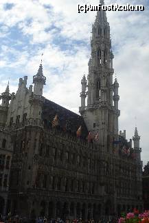 [P29] Grandioasa primarie cu belfortul din grand Place, Bruxelles » foto by ileanaxperta*
 - 
<span class="allrVoted glyphicon glyphicon-heart hidden" id="av131140"></span>
<a class="m-l-10 hidden" id="sv131140" onclick="voting_Foto_DelVot(,131140,3768)" role="button">șterge vot <span class="glyphicon glyphicon-remove"></span></a>
<a id="v9131140" class=" c-red"  onclick="voting_Foto_SetVot(131140)" role="button"><span class="glyphicon glyphicon-heart-empty"></span> <b>LIKE</b> = Votează poza</a> <img class="hidden"  id="f131140W9" src="/imagini/loader.gif" border="0" /><span class="AjErrMes hidden" id="e131140ErM"></span>