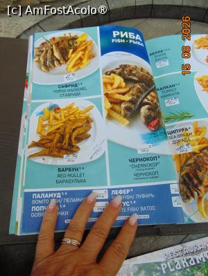 [P20] oferta restaurant » foto by Yolanda
 - 
<span class="allrVoted glyphicon glyphicon-heart hidden" id="av1540012"></span>
<a class="m-l-10 hidden" id="sv1540012" onclick="voting_Foto_DelVot(,1540012,3774)" role="button">șterge vot <span class="glyphicon glyphicon-remove"></span></a>
<a id="v91540012" class=" c-red"  onclick="voting_Foto_SetVot(1540012)" role="button"><span class="glyphicon glyphicon-heart-empty"></span> <b>LIKE</b> = Votează poza</a> <img class="hidden"  id="f1540012W9" src="/imagini/loader.gif" border="0" /><span class="AjErrMes hidden" id="e1540012ErM"></span>