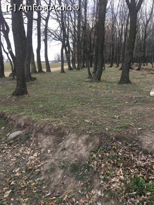 [P01] Pădurea, chiar dacă desfrunzită, tot frumoasă rămâne
 » foto by Yersinia Pestis
 - 
<span class="allrVoted glyphicon glyphicon-heart hidden" id="av1419659"></span>
<a class="m-l-10 hidden" id="sv1419659" onclick="voting_Foto_DelVot(,1419659,3780)" role="button">șterge vot <span class="glyphicon glyphicon-remove"></span></a>
<a id="v91419659" class=" c-red"  onclick="voting_Foto_SetVot(1419659)" role="button"><span class="glyphicon glyphicon-heart-empty"></span> <b>LIKE</b> = Votează poza</a> <img class="hidden"  id="f1419659W9" src="/imagini/loader.gif" border="0" /><span class="AjErrMes hidden" id="e1419659ErM"></span>