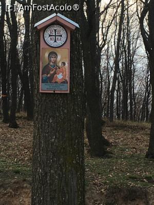 [P02] Drumul spre Mănăstire » foto by Yersinia Pestis
 - 
<span class="allrVoted glyphicon glyphicon-heart hidden" id="av1419660"></span>
<a class="m-l-10 hidden" id="sv1419660" onclick="voting_Foto_DelVot(,1419660,3780)" role="button">șterge vot <span class="glyphicon glyphicon-remove"></span></a>
<a id="v91419660" class=" c-red"  onclick="voting_Foto_SetVot(1419660)" role="button"><span class="glyphicon glyphicon-heart-empty"></span> <b>LIKE</b> = Votează poza</a> <img class="hidden"  id="f1419660W9" src="/imagini/loader.gif" border="0" /><span class="AjErrMes hidden" id="e1419660ErM"></span>