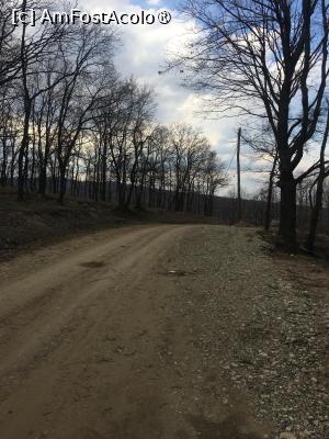 [P03] Cum spuneam » foto by Yersinia Pestis
 - 
<span class="allrVoted glyphicon glyphicon-heart hidden" id="av1419661"></span>
<a class="m-l-10 hidden" id="sv1419661" onclick="voting_Foto_DelVot(,1419661,3780)" role="button">șterge vot <span class="glyphicon glyphicon-remove"></span></a>
<a id="v91419661" class=" c-red"  onclick="voting_Foto_SetVot(1419661)" role="button"><span class="glyphicon glyphicon-heart-empty"></span> <b>LIKE</b> = Votează poza</a> <img class="hidden"  id="f1419661W9" src="/imagini/loader.gif" border="0" /><span class="AjErrMes hidden" id="e1419661ErM"></span>