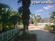 [P68] Detaliu faleză Marmaris » foto by Aeerdna*
 - 
<span class="allrVoted glyphicon glyphicon-heart hidden" id="av264141"></span>
<a class="m-l-10 hidden" id="sv264141" onclick="voting_Foto_DelVot(,264141,3806)" role="button">șterge vot <span class="glyphicon glyphicon-remove"></span></a>
<a id="v9264141" class=" c-red"  onclick="voting_Foto_SetVot(264141)" role="button"><span class="glyphicon glyphicon-heart-empty"></span> <b>LIKE</b> = Votează poza</a> <img class="hidden"  id="f264141W9" src="/imagini/loader.gif" border="0" /><span class="AjErrMes hidden" id="e264141ErM"></span>