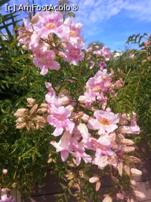 [P23]  -- <small>// FĂRĂ DESCRIERE</small> » foto by Cristian_h
 - 
<span class="allrVoted glyphicon glyphicon-heart hidden" id="av1508373"></span>
<a class="m-l-10 hidden" id="sv1508373" onclick="voting_Foto_DelVot(,1508373,3837)" role="button">șterge vot <span class="glyphicon glyphicon-remove"></span></a>
<a id="v91508373" class=" c-red"  onclick="voting_Foto_SetVot(1508373)" role="button"><span class="glyphicon glyphicon-heart-empty"></span> <b>LIKE</b> = Votează poza</a> <img class="hidden"  id="f1508373W9" src="/imagini/loader.gif" border="0" /><span class="AjErrMes hidden" id="e1508373ErM"></span>