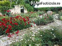 P21 [JUN-2012] Balcic - Trandafiri, plante agatatoare pe ziduri si alei de piatra.