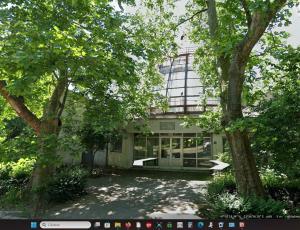 [P18] 18. Dacă am fi continuat drumul până la capăt, am fi văzut așa ceva pe post de grădină botanică. » foto by msnd <span class="label label-default labelC_thin small">NEVOTABILĂ</span>