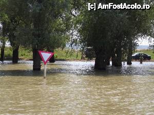 [P89] Din nou la Tulcea - am pornit prin Deltă. (ăla e semn de circulație navală, nu rutieră; oricum, apele erau foarte ridicate).  » foto by Dragoș_MD
 - 
<span class="allrVoted glyphicon glyphicon-heart hidden" id="av515741"></span>
<a class="m-l-10 hidden" id="sv515741" onclick="voting_Foto_DelVot(,515741,3854)" role="button">șterge vot <span class="glyphicon glyphicon-remove"></span></a>
<a id="v9515741" class=" c-red"  onclick="voting_Foto_SetVot(515741)" role="button"><span class="glyphicon glyphicon-heart-empty"></span> <b>LIKE</b> = Votează poza</a> <img class="hidden"  id="f515741W9" src="/imagini/loader.gif" border="0" /><span class="AjErrMes hidden" id="e515741ErM"></span>