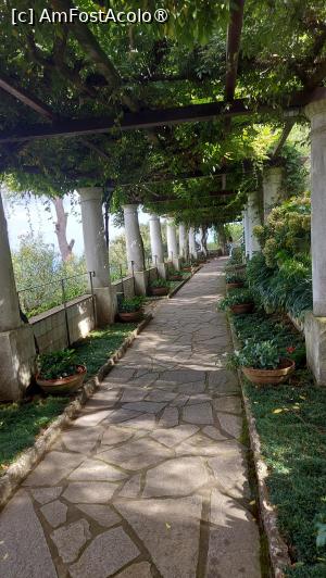 [P34] Villa San Michele - pergola » foto by ANILU
 - 
<span class="allrVoted glyphicon glyphicon-heart hidden" id="av1461690"></span>
<a class="m-l-10 hidden" id="sv1461690" onclick="voting_Foto_DelVot(,1461690,3887)" role="button">șterge vot <span class="glyphicon glyphicon-remove"></span></a>
<a id="v91461690" class=" c-red"  onclick="voting_Foto_SetVot(1461690)" role="button"><span class="glyphicon glyphicon-heart-empty"></span> <b>LIKE</b> = Votează poza</a> <img class="hidden"  id="f1461690W9" src="/imagini/loader.gif" border="0" /><span class="AjErrMes hidden" id="e1461690ErM"></span>