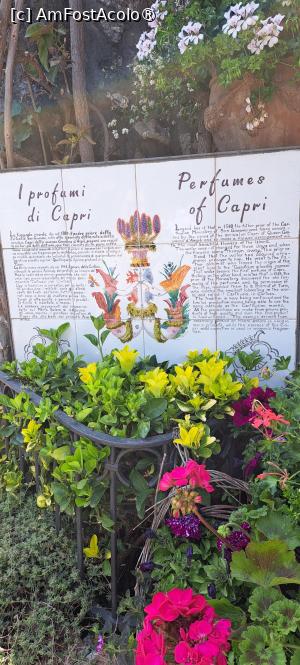 [P27] Povestea garofiței și a parfumului obținut pe baza acesteia » foto by irinad
 - 
<span class="allrVoted glyphicon glyphicon-heart hidden" id="av1541476"></span>
<a class="m-l-10 hidden" id="sv1541476" onclick="voting_Foto_DelVot(,1541476,3887)" role="button">șterge vot <span class="glyphicon glyphicon-remove"></span></a>
<a id="v91541476" class=" c-red"  onclick="voting_Foto_SetVot(1541476)" role="button"><span class="glyphicon glyphicon-heart-empty"></span> <b>LIKE</b> = Votează poza</a> <img class="hidden"  id="f1541476W9" src="/imagini/loader.gif" border="0" /><span class="AjErrMes hidden" id="e1541476ErM"></span>