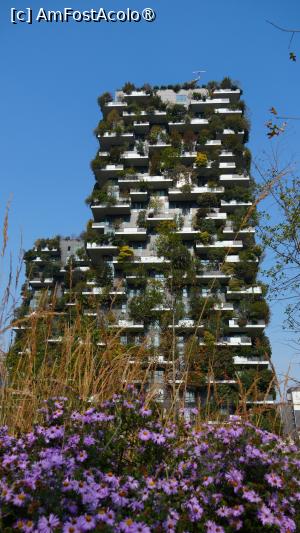 [P17] Bosco Verticale - Pădurea Verde » foto by pepsi70ro
 - 
<span class="allrVoted glyphicon glyphicon-heart hidden" id="av1508051"></span>
<a class="m-l-10 hidden" id="sv1508051" onclick="voting_Foto_DelVot(,1508051,3925)" role="button">șterge vot <span class="glyphicon glyphicon-remove"></span></a>
<a id="v91508051" class=" c-red"  onclick="voting_Foto_SetVot(1508051)" role="button"><span class="glyphicon glyphicon-heart-empty"></span> <b>LIKE</b> = Votează poza</a> <img class="hidden"  id="f1508051W9" src="/imagini/loader.gif" border="0" /><span class="AjErrMes hidden" id="e1508051ErM"></span>