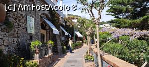 [P65] Am ajuns în Capri » foto by irinad
 - 
<span class="allrVoted glyphicon glyphicon-heart hidden" id="av1536002"></span>
<a class="m-l-10 hidden" id="sv1536002" onclick="voting_Foto_DelVot(,1536002,3926)" role="button">șterge vot <span class="glyphicon glyphicon-remove"></span></a>
<a id="v91536002" class=" c-red"  onclick="voting_Foto_SetVot(1536002)" role="button"><span class="glyphicon glyphicon-heart-empty"></span> <b>LIKE</b> = Votează poza</a> <img class="hidden"  id="f1536002W9" src="/imagini/loader.gif" border="0" /><span class="AjErrMes hidden" id="e1536002ErM"></span>