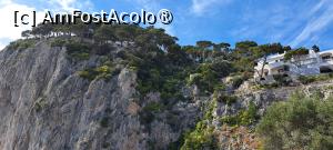 [P70] Capri, Giardini di Augusto, priveliște spre stâncile deasupra cărora se află Via Krupp » foto by irinad
 - 
<span class="allrVoted glyphicon glyphicon-heart hidden" id="av1536007"></span>
<a class="m-l-10 hidden" id="sv1536007" onclick="voting_Foto_DelVot(,1536007,3926)" role="button">șterge vot <span class="glyphicon glyphicon-remove"></span></a>
<a id="v91536007" class=" c-red"  onclick="voting_Foto_SetVot(1536007)" role="button"><span class="glyphicon glyphicon-heart-empty"></span> <b>LIKE</b> = Votează poza</a> <img class="hidden"  id="f1536007W9" src="/imagini/loader.gif" border="0" /><span class="AjErrMes hidden" id="e1536007ErM"></span>