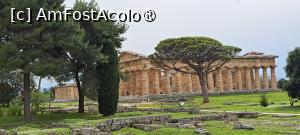 [P71] Paestum, Templele Herei și Neptun(Poseidon la grecii antici) » foto by irinad
 - 
<span class="allrVoted glyphicon glyphicon-heart hidden" id="av1536008"></span>
<a class="m-l-10 hidden" id="sv1536008" onclick="voting_Foto_DelVot(,1536008,3926)" role="button">șterge vot <span class="glyphicon glyphicon-remove"></span></a>
<a id="v91536008" class=" c-red"  onclick="voting_Foto_SetVot(1536008)" role="button"><span class="glyphicon glyphicon-heart-empty"></span> <b>LIKE</b> = Votează poza</a> <img class="hidden"  id="f1536008W9" src="/imagini/loader.gif" border="0" /><span class="AjErrMes hidden" id="e1536008ErM"></span>