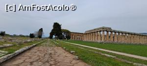 [P74] Paestum, Templele Herei și Neptun, și drumul principal prin orașul antic » foto by irinad
 - 
<span class="allrVoted glyphicon glyphicon-heart hidden" id="av1536011"></span>
<a class="m-l-10 hidden" id="sv1536011" onclick="voting_Foto_DelVot(,1536011,3926)" role="button">șterge vot <span class="glyphicon glyphicon-remove"></span></a>
<a id="v91536011" class=" c-red"  onclick="voting_Foto_SetVot(1536011)" role="button"><span class="glyphicon glyphicon-heart-empty"></span> <b>LIKE</b> = Votează poza</a> <img class="hidden"  id="f1536011W9" src="/imagini/loader.gif" border="0" /><span class="AjErrMes hidden" id="e1536011ErM"></span>