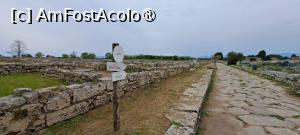 [P77] Paestum, ruinele cartierelor » foto by irinad
 - 
<span class="allrVoted glyphicon glyphicon-heart hidden" id="av1536014"></span>
<a class="m-l-10 hidden" id="sv1536014" onclick="voting_Foto_DelVot(,1536014,3926)" role="button">șterge vot <span class="glyphicon glyphicon-remove"></span></a>
<a id="v91536014" class=" c-red"  onclick="voting_Foto_SetVot(1536014)" role="button"><span class="glyphicon glyphicon-heart-empty"></span> <b>LIKE</b> = Votează poza</a> <img class="hidden"  id="f1536014W9" src="/imagini/loader.gif" border="0" /><span class="AjErrMes hidden" id="e1536014ErM"></span>