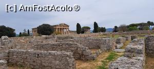 [P79] Paestum, vedere de ansamblu cu temple și ruine de case » foto by irinad
 - 
<span class="allrVoted glyphicon glyphicon-heart hidden" id="av1536016"></span>
<a class="m-l-10 hidden" id="sv1536016" onclick="voting_Foto_DelVot(,1536016,3926)" role="button">șterge vot <span class="glyphicon glyphicon-remove"></span></a>
<a id="v91536016" class=" c-red"  onclick="voting_Foto_SetVot(1536016)" role="button"><span class="glyphicon glyphicon-heart-empty"></span> <b>LIKE</b> = Votează poza</a> <img class="hidden"  id="f1536016W9" src="/imagini/loader.gif" border="0" /><span class="AjErrMes hidden" id="e1536016ErM"></span>