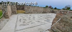 [P81] Paestum, mozaic » foto by irinad
 - 
<span class="allrVoted glyphicon glyphicon-heart hidden" id="av1536018"></span>
<a class="m-l-10 hidden" id="sv1536018" onclick="voting_Foto_DelVot(,1536018,3926)" role="button">șterge vot <span class="glyphicon glyphicon-remove"></span></a>
<a id="v91536018" class=" c-red"  onclick="voting_Foto_SetVot(1536018)" role="button"><span class="glyphicon glyphicon-heart-empty"></span> <b>LIKE</b> = Votează poza</a> <img class="hidden"  id="f1536018W9" src="/imagini/loader.gif" border="0" /><span class="AjErrMes hidden" id="e1536018ErM"></span>