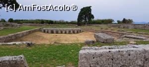 [P82] Paestum, ruine » foto by irinad
 - 
<span class="allrVoted glyphicon glyphicon-heart hidden" id="av1536019"></span>
<a class="m-l-10 hidden" id="sv1536019" onclick="voting_Foto_DelVot(,1536019,3926)" role="button">șterge vot <span class="glyphicon glyphicon-remove"></span></a>
<a id="v91536019" class=" c-red"  onclick="voting_Foto_SetVot(1536019)" role="button"><span class="glyphicon glyphicon-heart-empty"></span> <b>LIKE</b> = Votează poza</a> <img class="hidden"  id="f1536019W9" src="/imagini/loader.gif" border="0" /><span class="AjErrMes hidden" id="e1536019ErM"></span>