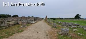 [P56] Ruine Macellum » foto by irinad
 - 
<span class="allrVoted glyphicon glyphicon-heart hidden" id="av1537620"></span>
<a class="m-l-10 hidden" id="sv1537620" onclick="voting_Foto_DelVot(,1537620,3926)" role="button">șterge vot <span class="glyphicon glyphicon-remove"></span></a>
<a id="v91537620" class=" c-red"  onclick="voting_Foto_SetVot(1537620)" role="button"><span class="glyphicon glyphicon-heart-empty"></span> <b>LIKE</b> = Votează poza</a> <img class="hidden"  id="f1537620W9" src="/imagini/loader.gif" border="0" /><span class="AjErrMes hidden" id="e1537620ErM"></span>