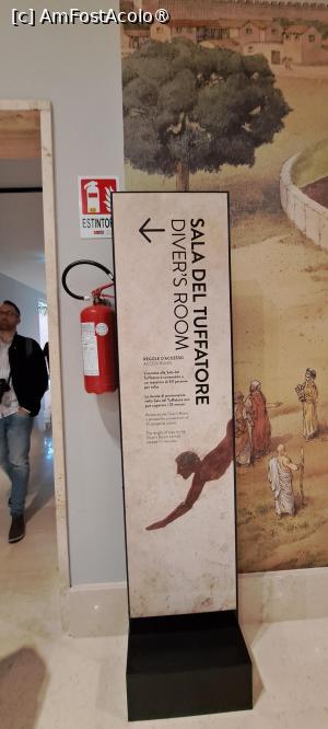 [P65] Către Sala Scufundătorului, acolo unde se află piesele de interes maxim » foto by irinad
 - 
<span class="allrVoted glyphicon glyphicon-heart hidden" id="av1537629"></span>
<a class="m-l-10 hidden" id="sv1537629" onclick="voting_Foto_DelVot(,1537629,3926)" role="button">șterge vot <span class="glyphicon glyphicon-remove"></span></a>
<a id="v91537629" class=" c-red"  onclick="voting_Foto_SetVot(1537629)" role="button"><span class="glyphicon glyphicon-heart-empty"></span> <b>LIKE</b> = Votează poza</a> <img class="hidden"  id="f1537629W9" src="/imagini/loader.gif" border="0" /><span class="AjErrMes hidden" id="e1537629ErM"></span>