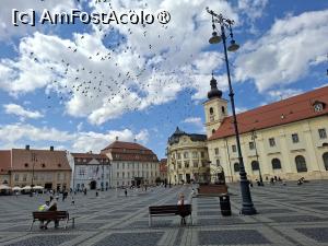 [P08] Piața Mare » foto by Carmen Ion
 - 
<span class="allrVoted glyphicon glyphicon-heart hidden" id="av1513585"></span>
<a class="m-l-10 hidden" id="sv1513585" onclick="voting_Foto_DelVot(,1513585,3936)" role="button">șterge vot <span class="glyphicon glyphicon-remove"></span></a>
<a id="v91513585" class=" c-red"  onclick="voting_Foto_SetVot(1513585)" role="button"><span class="glyphicon glyphicon-heart-empty"></span> <b>LIKE</b> = Votează poza</a> <img class="hidden"  id="f1513585W9" src="/imagini/loader.gif" border="0" /><span class="AjErrMes hidden" id="e1513585ErM"></span>