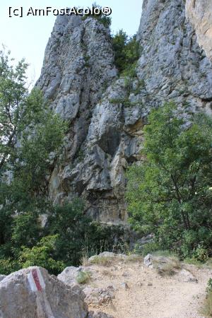 [P21] Parcul Național Cheile Nerei – Beușnița, Poteca spre Tunele, Drumul de pe lângă stâncă pozat după trecerea lui » foto by mprofeanu
 - 
<span class="allrVoted glyphicon glyphicon-heart hidden" id="av1189506"></span>
<a class="m-l-10 hidden" id="sv1189506" onclick="voting_Foto_DelVot(,1189506,3939)" role="button">șterge vot <span class="glyphicon glyphicon-remove"></span></a>
<a id="v91189506" class=" c-red"  onclick="voting_Foto_SetVot(1189506)" role="button"><span class="glyphicon glyphicon-heart-empty"></span> <b>LIKE</b> = Votează poza</a> <img class="hidden"  id="f1189506W9" src="/imagini/loader.gif" border="0" /><span class="AjErrMes hidden" id="e1189506ErM"></span>