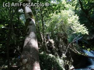 [P10] Ochiul Beu şi Cascadele Beuşniţei. Padurea deasa si panta abrupta face totusi coborarea pana aici destul de anevoioasa, asta in special daca veti fi insotiti de copii mai mici.. » foto by vega06
 - 
<span class="allrVoted glyphicon glyphicon-heart hidden" id="av733784"></span>
<a class="m-l-10 hidden" id="sv733784" onclick="voting_Foto_DelVot(,733784,3939)" role="button">șterge vot <span class="glyphicon glyphicon-remove"></span></a>
<a id="v9733784" class=" c-red"  onclick="voting_Foto_SetVot(733784)" role="button"><span class="glyphicon glyphicon-heart-empty"></span> <b>LIKE</b> = Votează poza</a> <img class="hidden"  id="f733784W9" src="/imagini/loader.gif" border="0" /><span class="AjErrMes hidden" id="e733784ErM"></span>