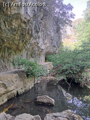 [P29]  -- <small>// FĂRĂ DESCRIERE</small> » foto by popagelu
 - 
<span class="allrVoted glyphicon glyphicon-heart hidden" id="av1543296"></span>
<a class="m-l-10 hidden" id="sv1543296" onclick="voting_Foto_DelVot(,1543296,3939)" role="button">șterge vot <span class="glyphicon glyphicon-remove"></span></a>
<a id="v91543296" class=" c-red"  onclick="voting_Foto_SetVot(1543296)" role="button"><span class="glyphicon glyphicon-heart-empty"></span> <b>LIKE</b> = Votează poza</a> <img class="hidden"  id="f1543296W9" src="/imagini/loader.gif" border="0" /><span class="AjErrMes hidden" id="e1543296ErM"></span>