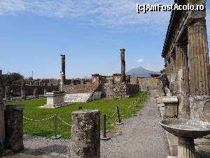 [P08] Anticul oras Pompei - Tempio di Apollo » foto by BOGDAN DSN
 - 
<span class="allrVoted glyphicon glyphicon-heart hidden" id="av506112"></span>
<a class="m-l-10 hidden" id="sv506112" onclick="voting_Foto_DelVot(,506112,3976)" role="button">șterge vot <span class="glyphicon glyphicon-remove"></span></a>
<a id="v9506112" class=" c-red"  onclick="voting_Foto_SetVot(506112)" role="button"><span class="glyphicon glyphicon-heart-empty"></span> <b>LIKE</b> = Votează poza</a> <img class="hidden"  id="f506112W9" src="/imagini/loader.gif" border="0" /><span class="AjErrMes hidden" id="e506112ErM"></span>