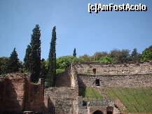 P13 [NOV-2009] Vegetatia abundenta, aici la Pompei,e tinuta sub control,ea nu are voie sa invadeze ruinele vilelor patricienilor urbei