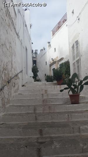 [P32] Ostuni » foto by Chloe
 - 
<span class="allrVoted glyphicon glyphicon-heart hidden" id="av803691"></span>
<a class="m-l-10 hidden" id="sv803691" onclick="voting_Foto_DelVot(,803691,3993)" role="button">șterge vot <span class="glyphicon glyphicon-remove"></span></a>
<a id="v9803691" class=" c-red"  onclick="voting_Foto_SetVot(803691)" role="button"><span class="glyphicon glyphicon-heart-empty"></span> <b>LIKE</b> = Votează poza</a> <img class="hidden"  id="f803691W9" src="/imagini/loader.gif" border="0" /><span class="AjErrMes hidden" id="e803691ErM"></span>