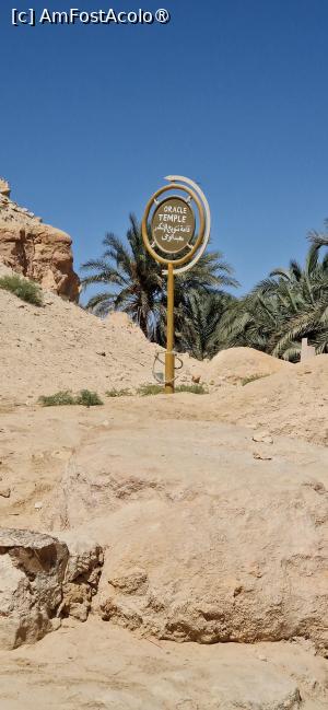 [P40] 40. Am ajuns la Templul lui Amon, „Templul Oracolului”. » foto by msnd
 - 
<span class="allrVoted glyphicon glyphicon-heart hidden" id="av1506153"></span>
<a class="m-l-10 hidden" id="sv1506153" onclick="voting_Foto_DelVot(,1506153,3997)" role="button">șterge vot <span class="glyphicon glyphicon-remove"></span></a>
<a id="v91506153" class=" c-red"  onclick="voting_Foto_SetVot(1506153)" role="button"><span class="glyphicon glyphicon-heart-empty"></span> <b>LIKE</b> = Votează poza</a> <img class="hidden"  id="f1506153W9" src="/imagini/loader.gif" border="0" /><span class="AjErrMes hidden" id="e1506153ErM"></span>