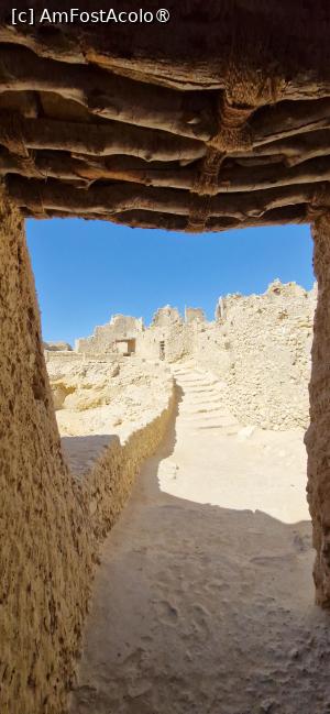 [P45] 45. Pentru început, ajungem într-o curte. » foto by msnd
 - 
<span class="allrVoted glyphicon glyphicon-heart hidden" id="av1506158"></span>
<a class="m-l-10 hidden" id="sv1506158" onclick="voting_Foto_DelVot(,1506158,3997)" role="button">șterge vot <span class="glyphicon glyphicon-remove"></span></a>
<a id="v91506158" class=" c-red"  onclick="voting_Foto_SetVot(1506158)" role="button"><span class="glyphicon glyphicon-heart-empty"></span> <b>LIKE</b> = Votează poza</a> <img class="hidden"  id="f1506158W9" src="/imagini/loader.gif" border="0" /><span class="AjErrMes hidden" id="e1506158ErM"></span>