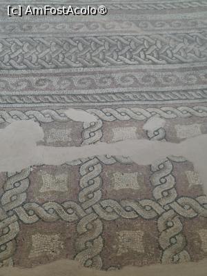 [P12] Constanța, Edificiul Roman cu Mozaic, Parte din covorul de mozaic » foto by mprofeanu
 - 
<span class="allrVoted glyphicon glyphicon-heart hidden" id="av1509433"></span>
<a class="m-l-10 hidden" id="sv1509433" onclick="voting_Foto_DelVot(,1509433,4001)" role="button">șterge vot <span class="glyphicon glyphicon-remove"></span></a>
<a id="v91509433" class=" c-red"  onclick="voting_Foto_SetVot(1509433)" role="button"><span class="glyphicon glyphicon-heart-empty"></span> <b>LIKE</b> = Votează poza</a> <img class="hidden"  id="f1509433W9" src="/imagini/loader.gif" border="0" /><span class="AjErrMes hidden" id="e1509433ErM"></span>