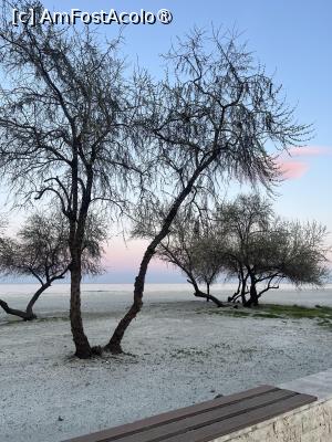 [P04] Marea Neagră la Mamaia Nord » foto by Yersinia Pestis
 - 
<span class="allrVoted glyphicon glyphicon-heart hidden" id="av1526369"></span>
<a class="m-l-10 hidden" id="sv1526369" onclick="voting_Foto_DelVot(,1526369,4001)" role="button">șterge vot <span class="glyphicon glyphicon-remove"></span></a>
<a id="v91526369" class=" c-red"  onclick="voting_Foto_SetVot(1526369)" role="button"><span class="glyphicon glyphicon-heart-empty"></span> <b>LIKE</b> = Votează poza</a> <img class="hidden"  id="f1526369W9" src="/imagini/loader.gif" border="0" /><span class="AjErrMes hidden" id="e1526369ErM"></span>