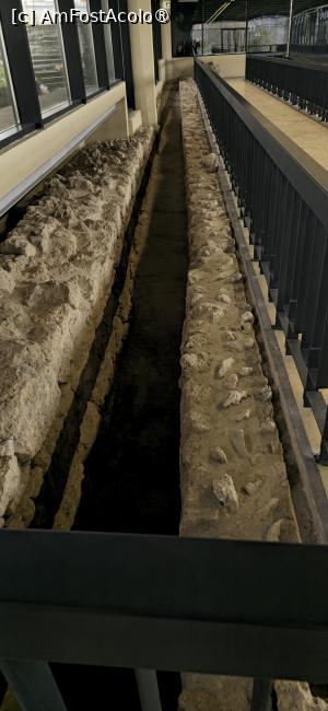 [P31] 31. Zidul nord - estic al edificiului. » foto by msnd
 - 
<span class="allrVoted glyphicon glyphicon-heart hidden" id="av1523429"></span>
<a class="m-l-10 hidden" id="sv1523429" onclick="voting_Foto_DelVot(,1523429,4001)" role="button">șterge vot <span class="glyphicon glyphicon-remove"></span></a>
<a id="v91523429" class=" c-red"  onclick="voting_Foto_SetVot(1523429)" role="button"><span class="glyphicon glyphicon-heart-empty"></span> <b>LIKE</b> = Votează poza</a> <img class="hidden"  id="f1523429W9" src="/imagini/loader.gif" border="0" /><span class="AjErrMes hidden" id="e1523429ErM"></span>