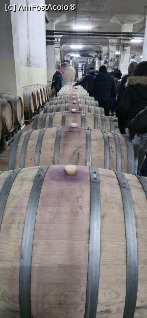 [P29] 29. Butoaiele de circa 270 de litri sunt pentru înnobilarea vinurilor. » foto by msnd
 - 
<span class="allrVoted glyphicon glyphicon-heart hidden" id="av1524745"></span>
<a class="m-l-10 hidden" id="sv1524745" onclick="voting_Foto_DelVot(,1524745,4001)" role="button">șterge vot <span class="glyphicon glyphicon-remove"></span></a>
<a id="v91524745" class=" c-red"  onclick="voting_Foto_SetVot(1524745)" role="button"><span class="glyphicon glyphicon-heart-empty"></span> <b>LIKE</b> = Votează poza</a> <img class="hidden"  id="f1524745W9" src="/imagini/loader.gif" border="0" /><span class="AjErrMes hidden" id="e1524745ErM"></span>