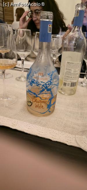 [P36] 36. Unul din acestea s-a bucurat de mare succes. » foto by msnd
 - 
<span class="allrVoted glyphicon glyphicon-heart hidden" id="av1524752"></span>
<a class="m-l-10 hidden" id="sv1524752" onclick="voting_Foto_DelVot(,1524752,4001)" role="button">șterge vot <span class="glyphicon glyphicon-remove"></span></a>
<a id="v91524752" class=" c-red"  onclick="voting_Foto_SetVot(1524752)" role="button"><span class="glyphicon glyphicon-heart-empty"></span> <b>LIKE</b> = Votează poza</a> <img class="hidden"  id="f1524752W9" src="/imagini/loader.gif" border="0" /><span class="AjErrMes hidden" id="e1524752ErM"></span>