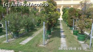 [P22] Orangeria de la Palatul Schonbrunn » foto by ungureanica
 - 
<span class="allrVoted glyphicon glyphicon-heart hidden" id="av975715"></span>
<a class="m-l-10 hidden" id="sv975715" onclick="voting_Foto_DelVot(,975715,4023)" role="button">șterge vot <span class="glyphicon glyphicon-remove"></span></a>
<a id="v9975715" class=" c-red"  onclick="voting_Foto_SetVot(975715)" role="button"><span class="glyphicon glyphicon-heart-empty"></span> <b>LIKE</b> = Votează poza</a> <img class="hidden"  id="f975715W9" src="/imagini/loader.gif" border="0" /><span class="AjErrMes hidden" id="e975715ErM"></span>